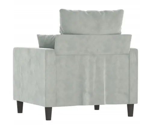 Atpūtas Krēsls, Gaiši Pelēks, 60 Cm, Samts Vidaxl