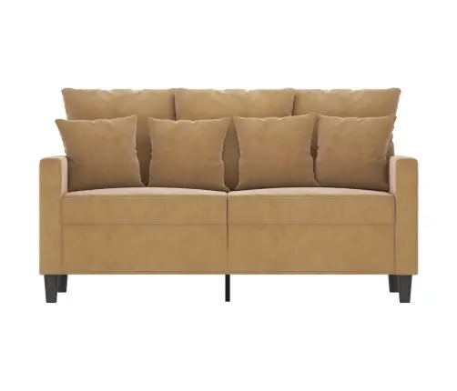 Divvietīgs Dīvāns, Brūns, 120 Cm, Samts Vidaxl