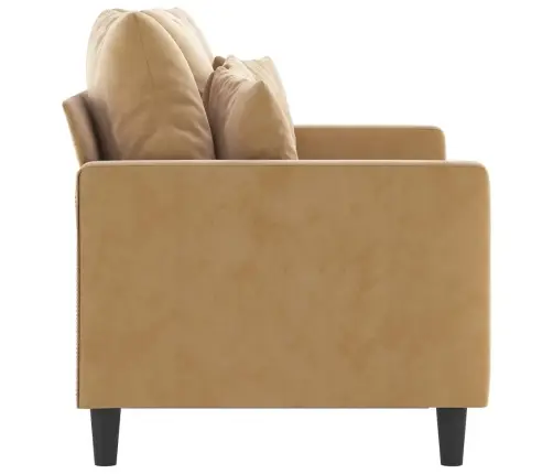 Divvietīgs Dīvāns, Brūns, 120 Cm, Samts Vidaxl