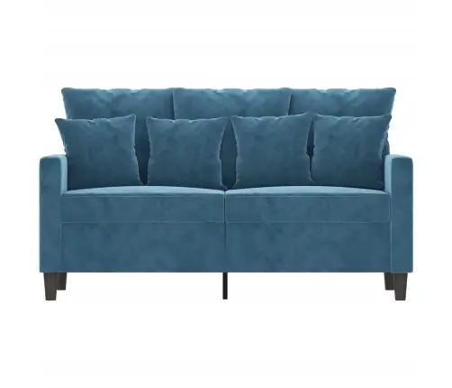 Divvietīgs Dīvāns, Zils, 120 Cm, Samts Vidaxl