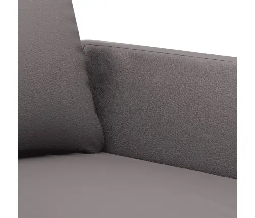 Dvivietė Sofa, Pilkos Spalvos, 120cm Dirbtinė Oda