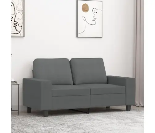 Divvietīgs Dīvāns, Tumši Pelēks Audums, 120 Cm Vidaxl
