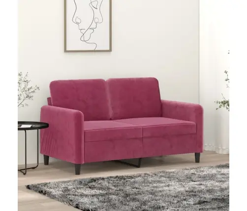 Divvietīgs Dīvāns, Vīnsarkans, 120 Cm, Samts Vidaxl