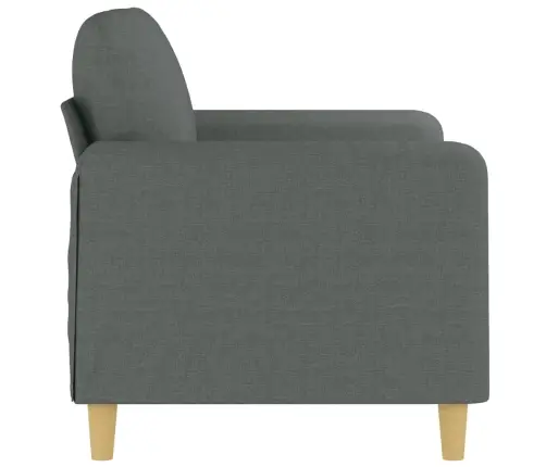 Divvietīgs Dīvāns, Tumši Pelēks Audums, 120 Cm Vidaxl