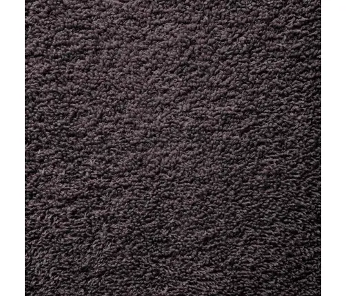 Pirts Dvieļi 10 Gab. Antracīts 80X200 Cm 360 Gsm 100% Kokvilna Vidaxl