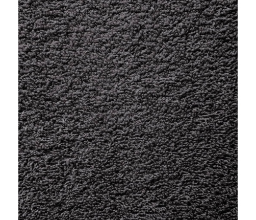 Rankšluosčiai Rankoms Solund, 50Vnt. Antracito 50X100Cm 600G/M²