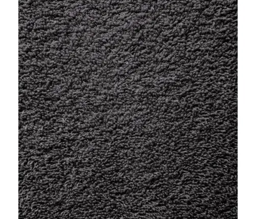 Pirts Dvieļi Solund, 10 Gab., Antracītpelēki, 80X200 Cm, 600Gsm Vidaxl