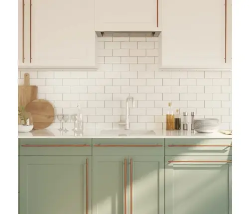 Skapja Rokturi, 20 Gab., Bronzas, 480 Mm, Nerūsējošais Tērauds Vidaxl