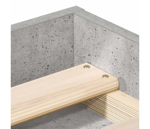 Gultas Rāmis, Betonpelēks, 100X200 Cm Vidaxl