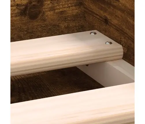 Gultas Rāmis, Ozolkoka Krāsa, 100X200 Cm Vidaxl