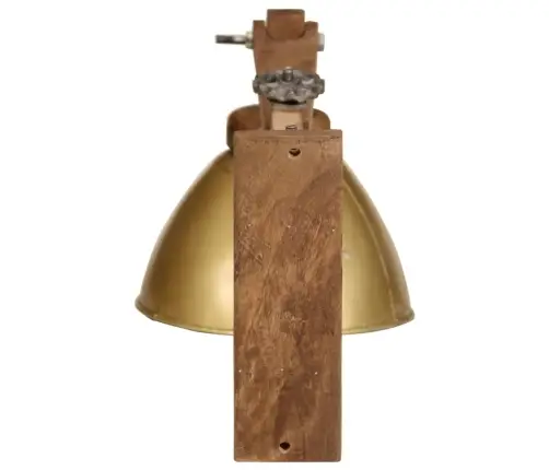 Sienas Lampa, 25 W, Antīka Misiņa Krāsa, E27 Vidaxl