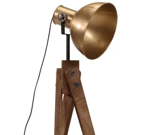 Grīdas Lampa, 25 W, Antīka Misiņa Krāsa, 45X45X120 Cm, E27 Vidaxl