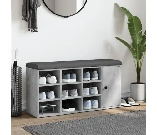 Jalatsipink, Betoonhall, 102 X 32 X 50 cm Tehispuit