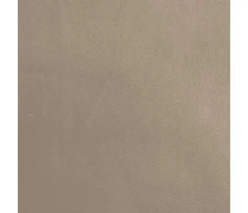 Püstitõusmist Toetav Tugitool, Cappuccino, Kunstnahk