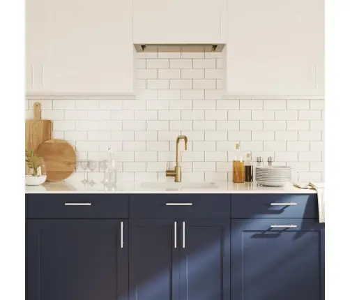 Skapja Rokturi, 10 Gab., Sudraba, 96 Mm, Nerūsējošais Tērauds Vidaxl