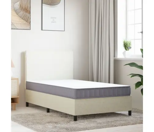 Poroloninis Čiužinys, 100X200cm Vidutinio Minkštumo