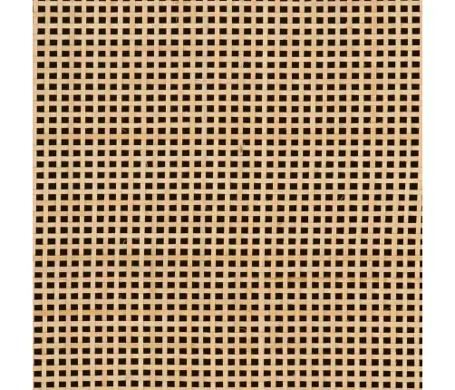 Šoninė Spintelė, Juoda, 55X30X76cm Mango Masyvas Ir Geležis