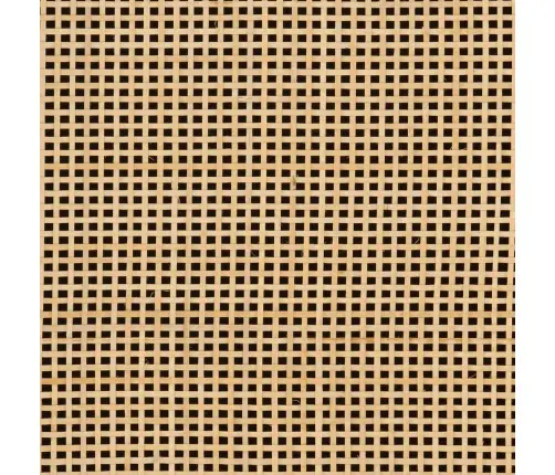 Öökapp, 40 X 30 X 50 cm Mangopuit Ja Raud