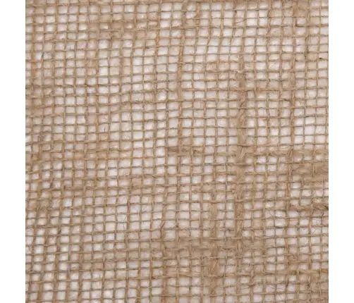 Džutas Ruļļi, 2 Gab., 1X50 Cm, 100% Džuta, 200 Gsm Vidaxl