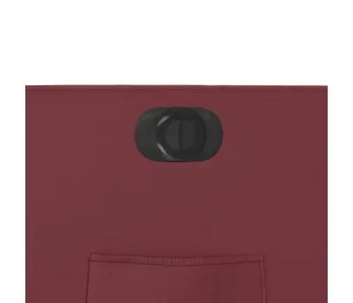 Atsistojantis Elektrinis Krėslas, Raudonojo Vyno, Dirbtinė Oda