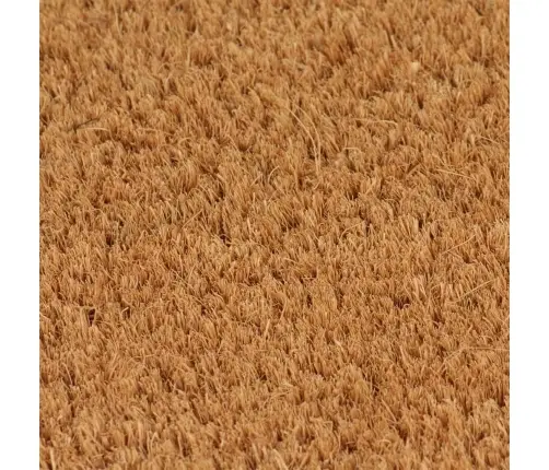 Durvju Paklājs, 2 Gab., 40X60 Cm, Pūkaina Kokosa Šķiedra Vidaxl