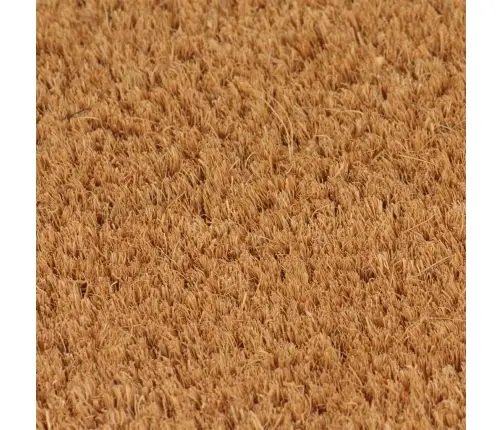 Durvju Paklājs, Dabīga Krāsa, 100X200Cm, Pūkaina Kokosa Šķiedra Vidaxl