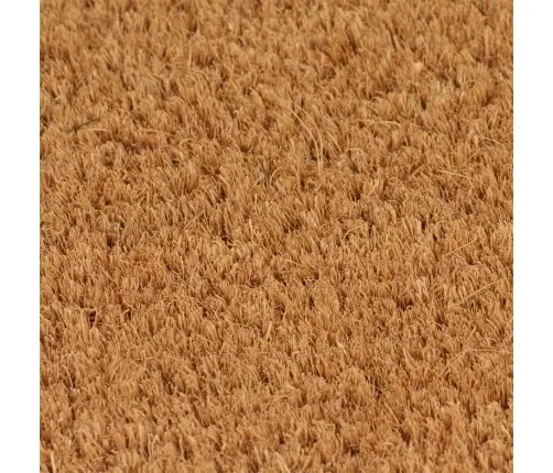 Durų Kilimėlis, Natūralus, 100X300cm Kokoso Pluoštas