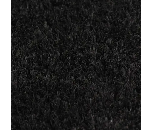 Durvju Paklājs, 5 Gab., Melns, 40X60 Cm, Pūkaina Kokosa Šķiedra Vidaxl