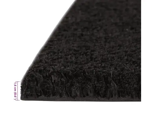 Durvju Paklājs, 5 Gab., Melns, 40X60 Cm, Pūkaina Kokosa Šķiedra Vidaxl