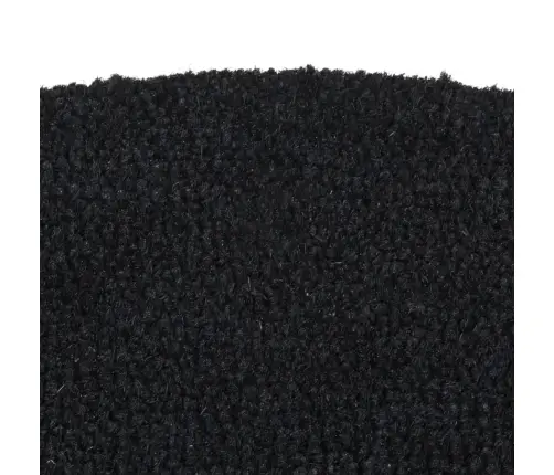 Durų Kilimėlis, Juodas, 40X60cm Kuokštuotas Kokoso Pluoštas