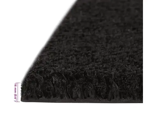 Durvju Paklājs, Melns, 100X200 Cm, Pūkaina Kokosa Šķiedra Vidaxl