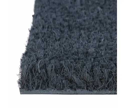 Durvju Paklājs, Tumši Pelēks, Pusapaļš, 50X80 Cm Vidaxl