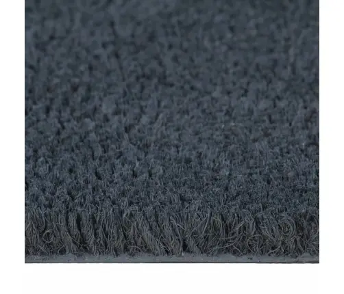 Durvju Paklājs, Tumši Pelēks, 80X100 Cm, Pūkaina Kokosa Šķiedra Vidaxl