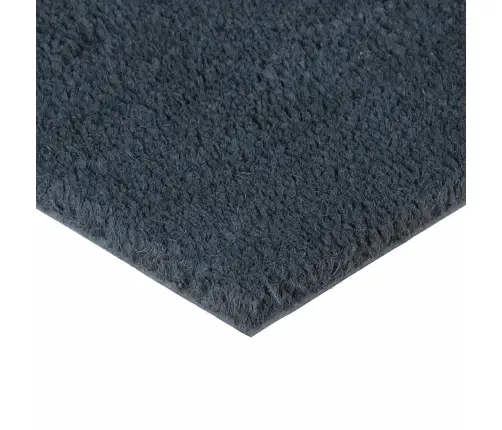 Durvju Paklājs, Tumši Pelēks, 100X200Cm, Pūkaina Kokosa Šķiedra Vidaxl