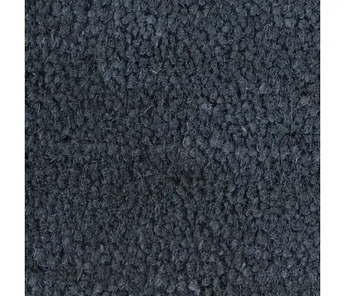 Durvju Paklājs, Tumši Pelēks, 100X200Cm, Pūkaina Kokosa Šķiedra Vidaxl