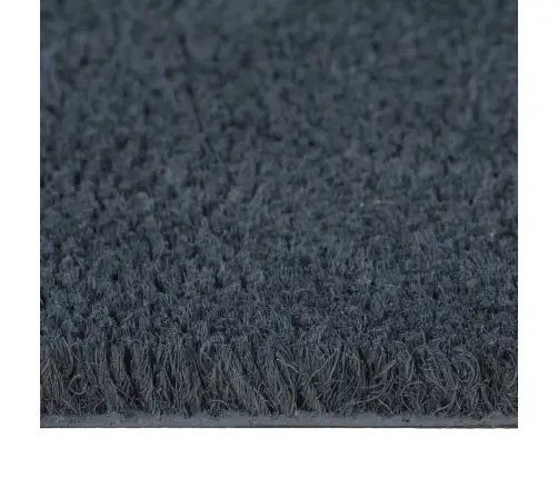 Durvju Paklājs, Tumši Pelēks, 100X300Cm, Pūkaina Kokosa Šķiedra Vidaxl