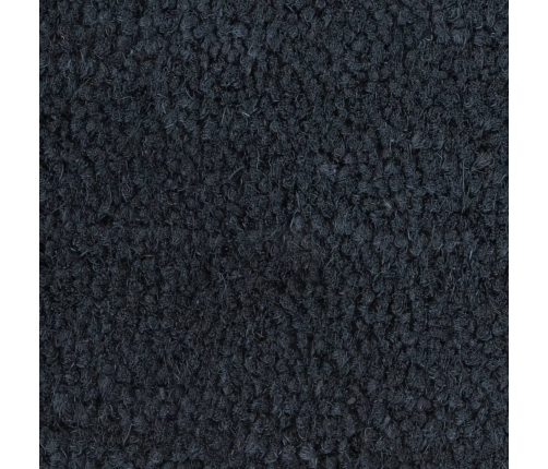 Durvju Paklājs, Tumši Pelēks, 100X300Cm, Pūkaina Kokosa Šķiedra Vidaxl