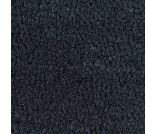 Durvju Paklājs, Tumši Pelēks, 100X300Cm, Pūkaina Kokosa Šķiedra Vidaxl