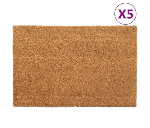 Durų Kilimėliai, 5Vnt., Natūralūs, 40X60cm Kokoso Pluoštas