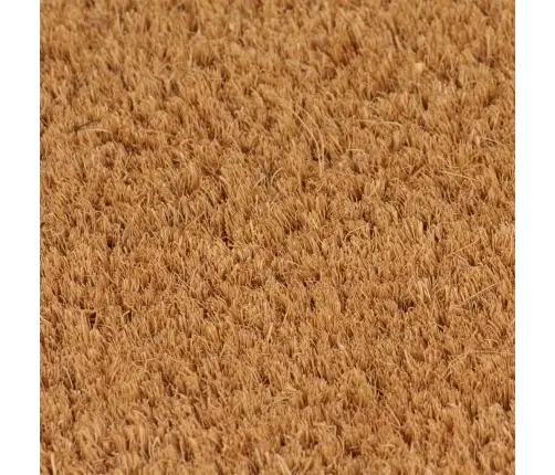 Durų Kilimėliai, 5Vnt., Natūralūs, 40X60cm Kokoso Pluoštas