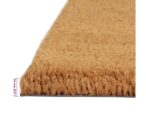 Durų Kilimėliai, 5Vnt., Natūralūs, 40X60cm Kokoso Pluoštas