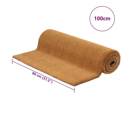 Durvju Paklājs, Dabīga Krāsa, 80X100 Cm, Pūkaina Kokosa Šķiedra Vidaxl