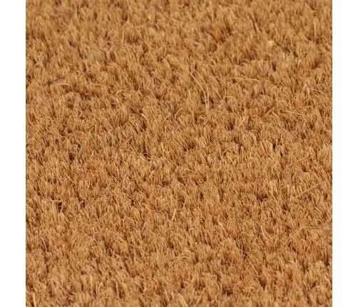 Durvju Paklājs, Dabīga Krāsa, 100X200Cm, Pūkaina Kokosa Šķiedra Vidaxl