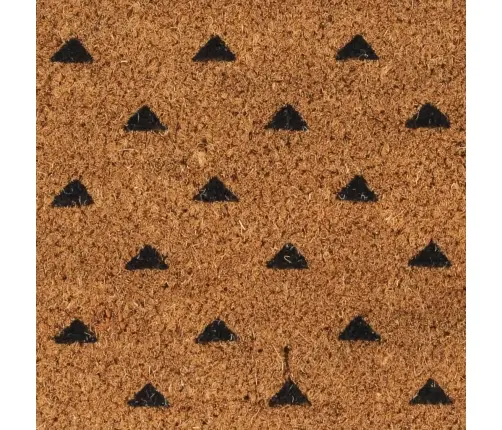 Durvju Paklājs, Dabīga Krāsa, 45X75 Cm, Pūkaina Kokosa Šķiedra Vidaxl