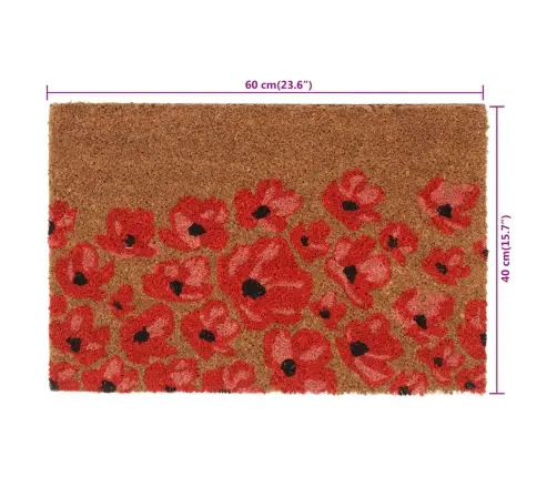 Durvju Paklājs, Dabīga Krāsa, 40X60 Cm, Pūkaina Kokosa Šķiedra Vidaxl