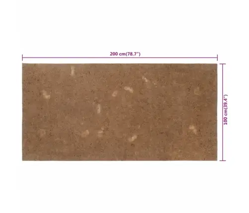 Čiužinio Paklotas, 100X200cm Kokoso Pluoštas