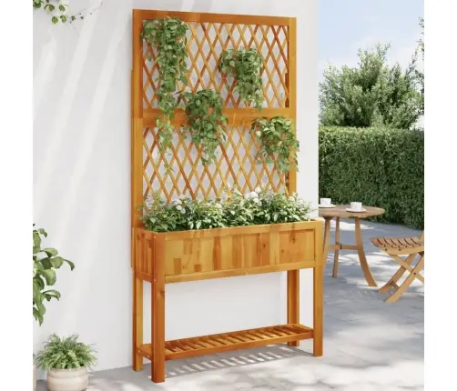 Dārza Puķu Kaste Ar Špaleru Un Plaukts 100X32X185 Cm Akācija Vidaxl