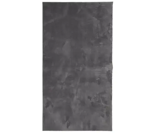Vaip Huarte, Lühikese Narmaga, Pestav, Antratsiit, 60 X 110 Cm