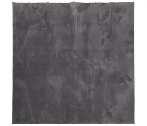 Vaip "Huarte", Lühikese Narmaga, Pestav, Antratsiit, 120X120 Cm Vaip "Huarte", Lühikese Narmaga, Pestav, Antratsiit, 120X120 Cm