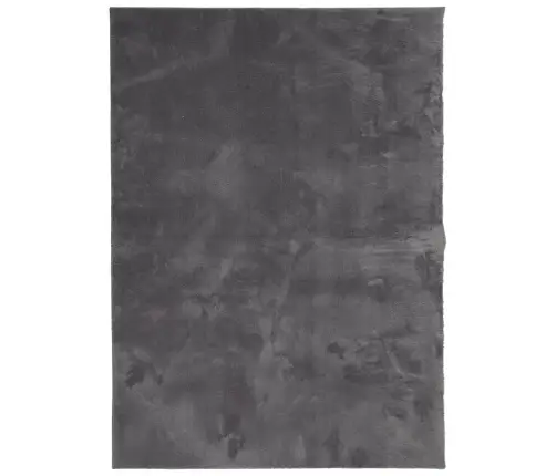 Paklājs Huarte, Īsa Spalva, Mīksts, Mazgājams, Antracītpelēks Vidaxl